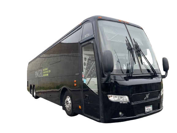 Black Tie Transportation