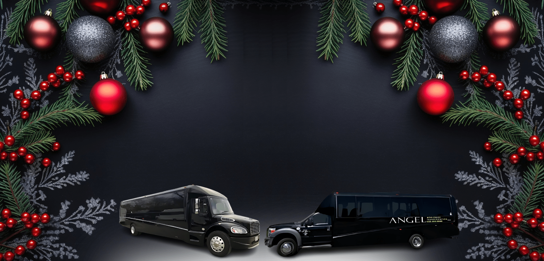San Francisco Christmas Party Bus and Limo