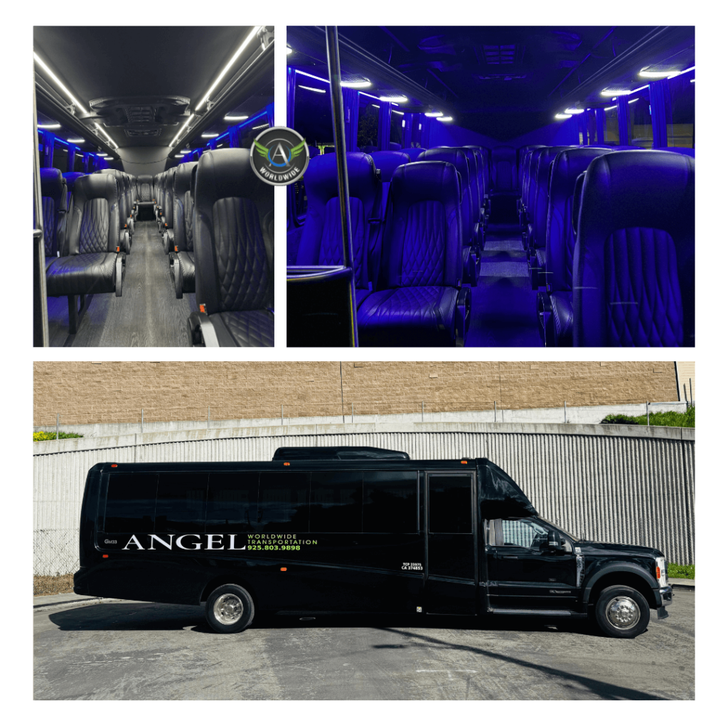 Napa & Sonoma Wine Tours from Alamo, California