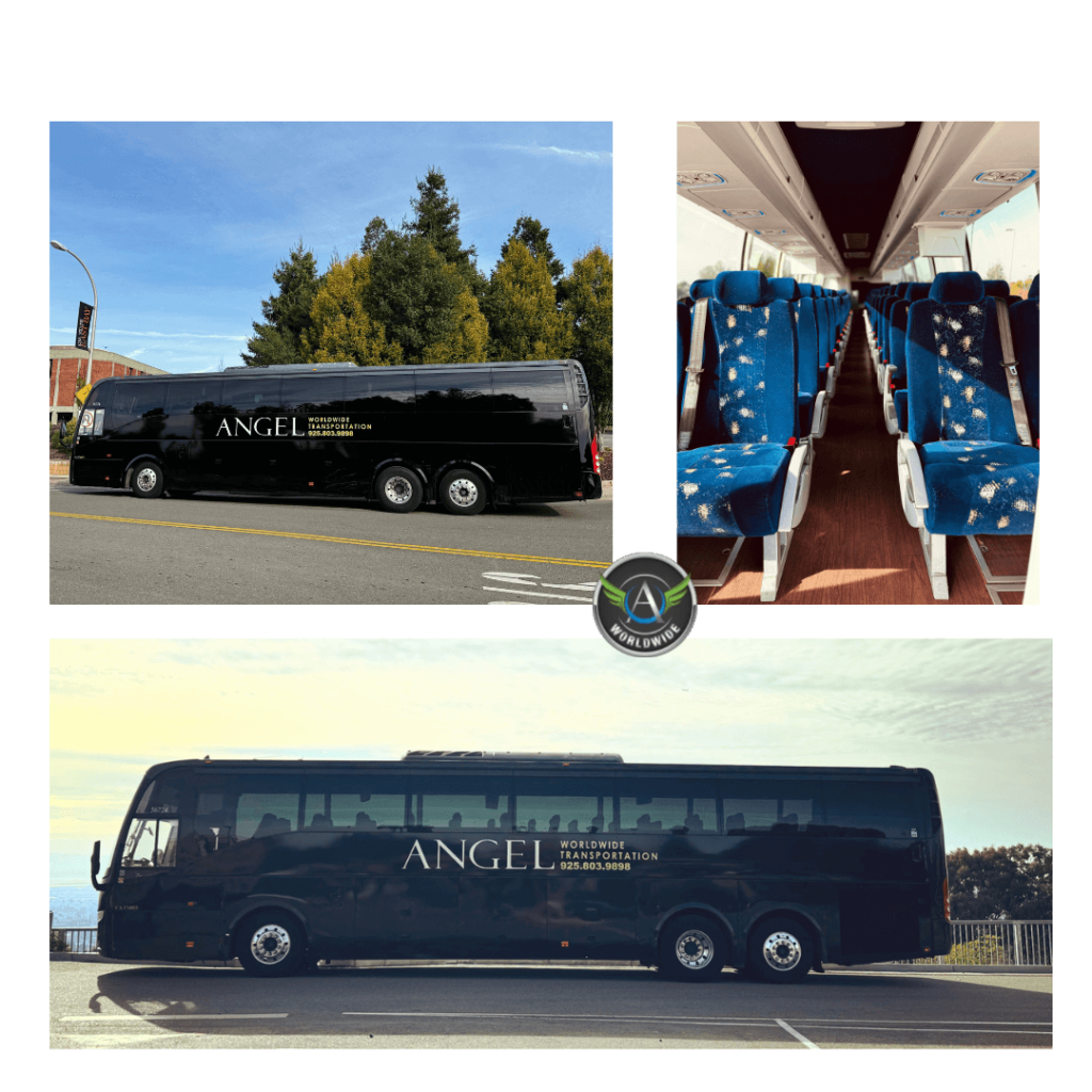 Charter Bus & Minibus Company Alamo