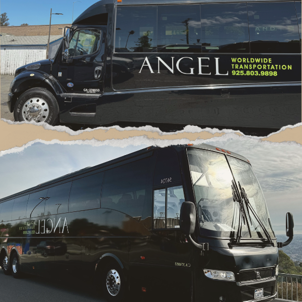 Charter & Minibus Rental Services Alamo