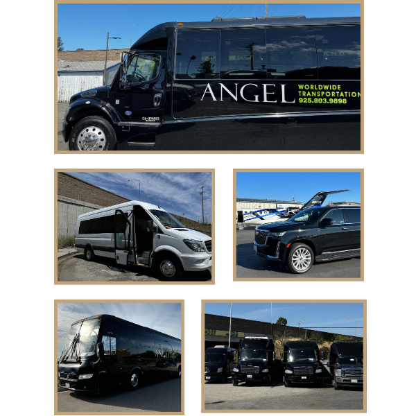 Alamo Luxury Charter Bus & Minibus Rental